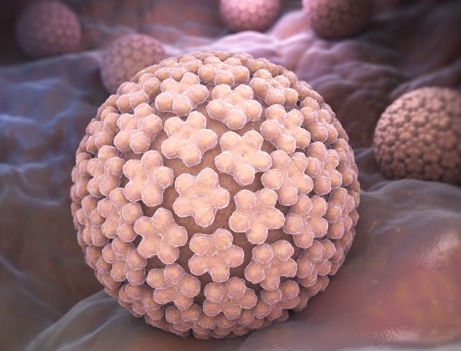 El virus del papiloma humano, causas y prevención