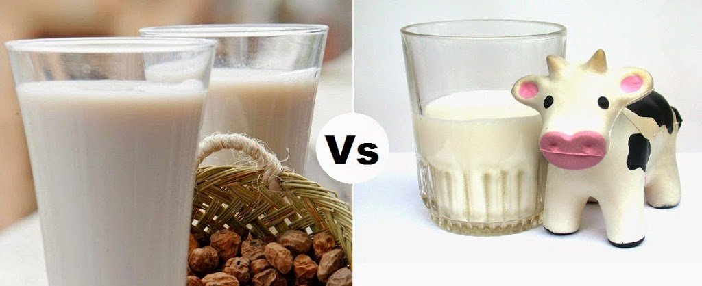 Porqué tomar leche vegetal y no leche de vaca pasteurizada