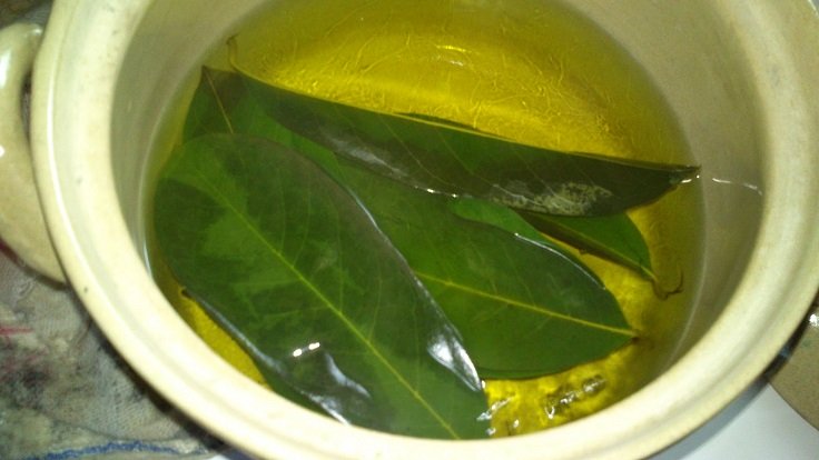 25 beneficios de las hojas de guanábana