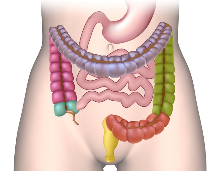 6 señales de que tienes un intestino perforado