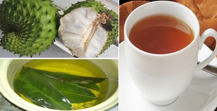 Cómo preparar un té de hojas guanábana para perder peso