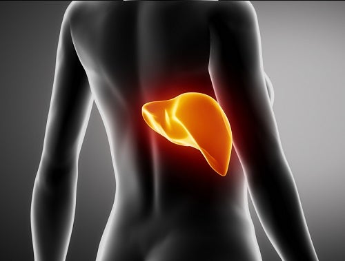 7 signos de un hígado intoxicado