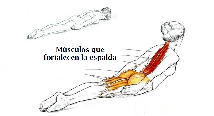 Ejercicios para corregir la mala postura y tratar el dolor de espalda