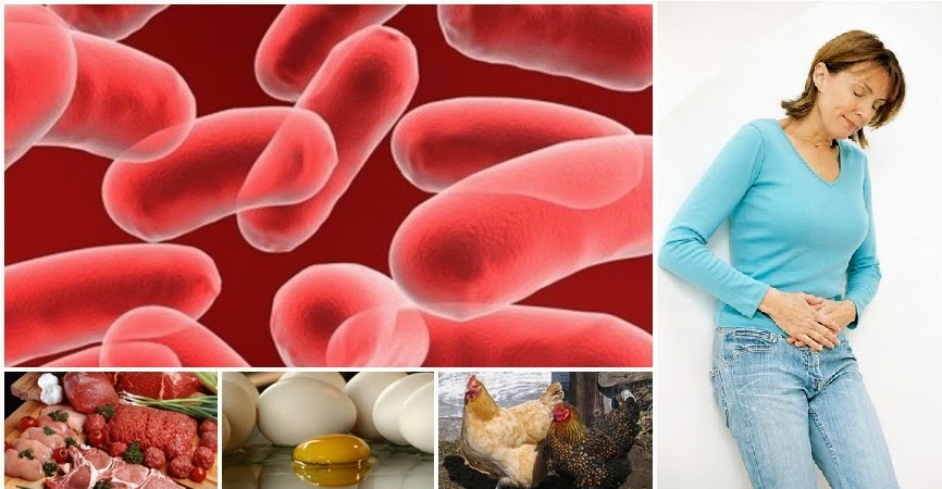 Cómo protegerse de Salmonella y E. coli naturalmente