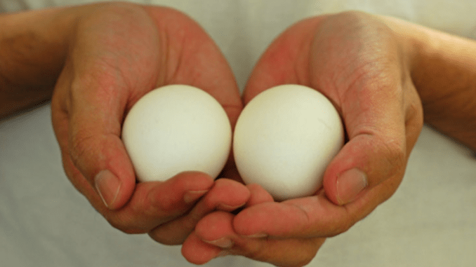 Comience a comer dos huevos por día y estos 9 cambios le sucederán a su cuerpo
