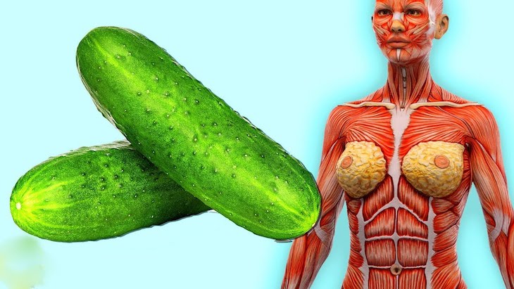 Un efecto importante de comer pepinos, dice la ciencia